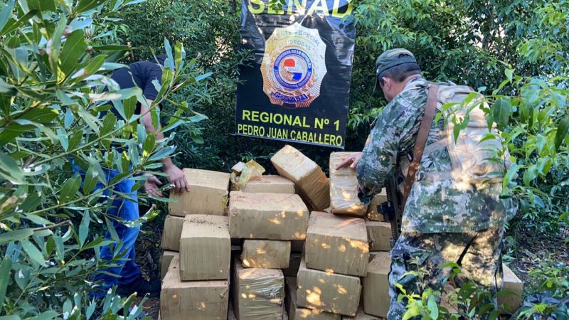 Inacautan cerca de 30 mil kilos de marihuana en el distrito de CapitÃ¡n Bado