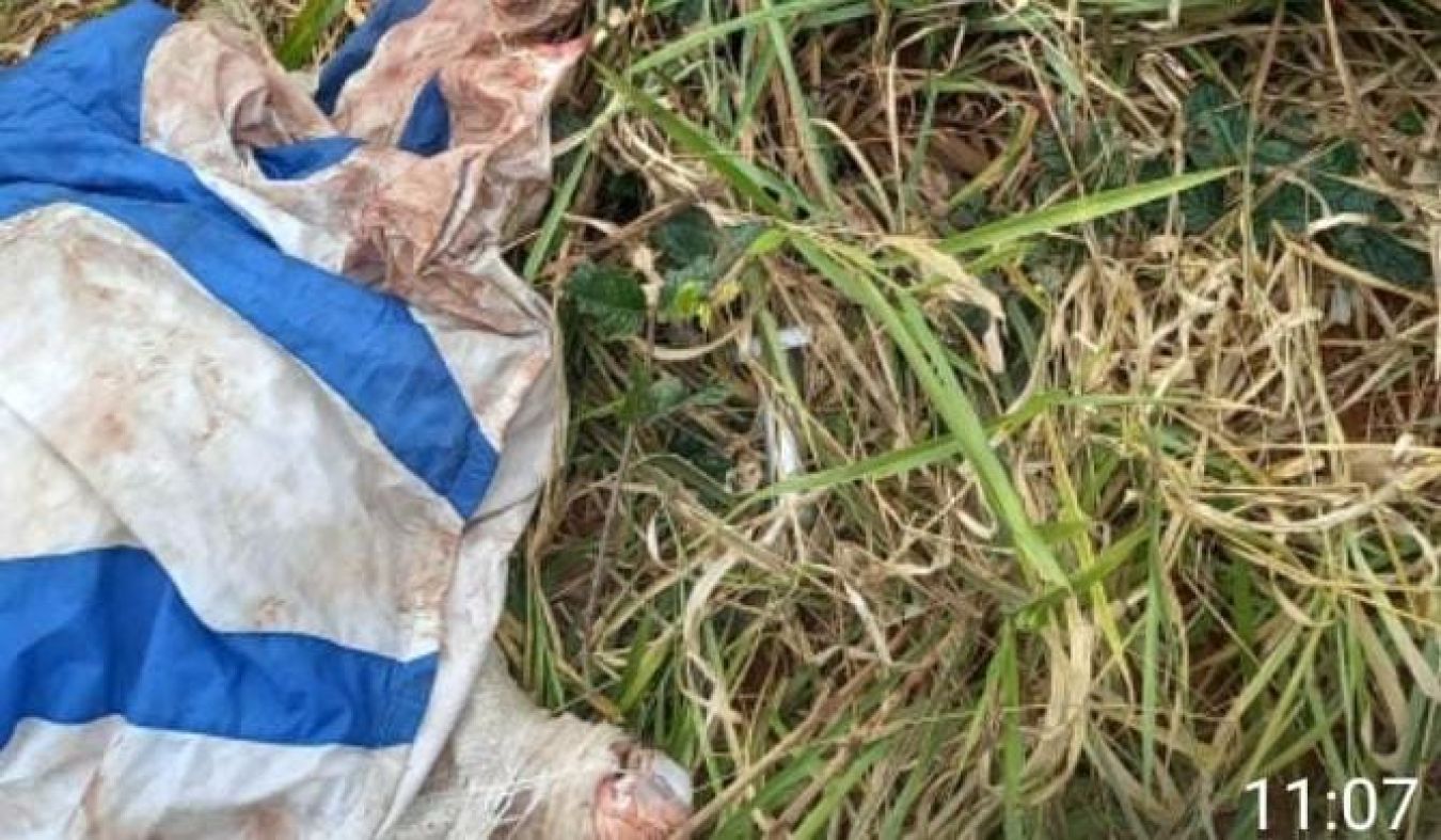 Cadáver hallado en el Parque Nacional Cerro Corá presenta heridas de arma de fuego
