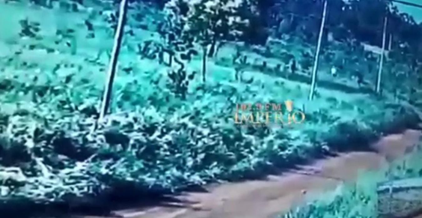 Difunden circuito cerrado del asesinato de una mujer en la fracción Villa Fuji
