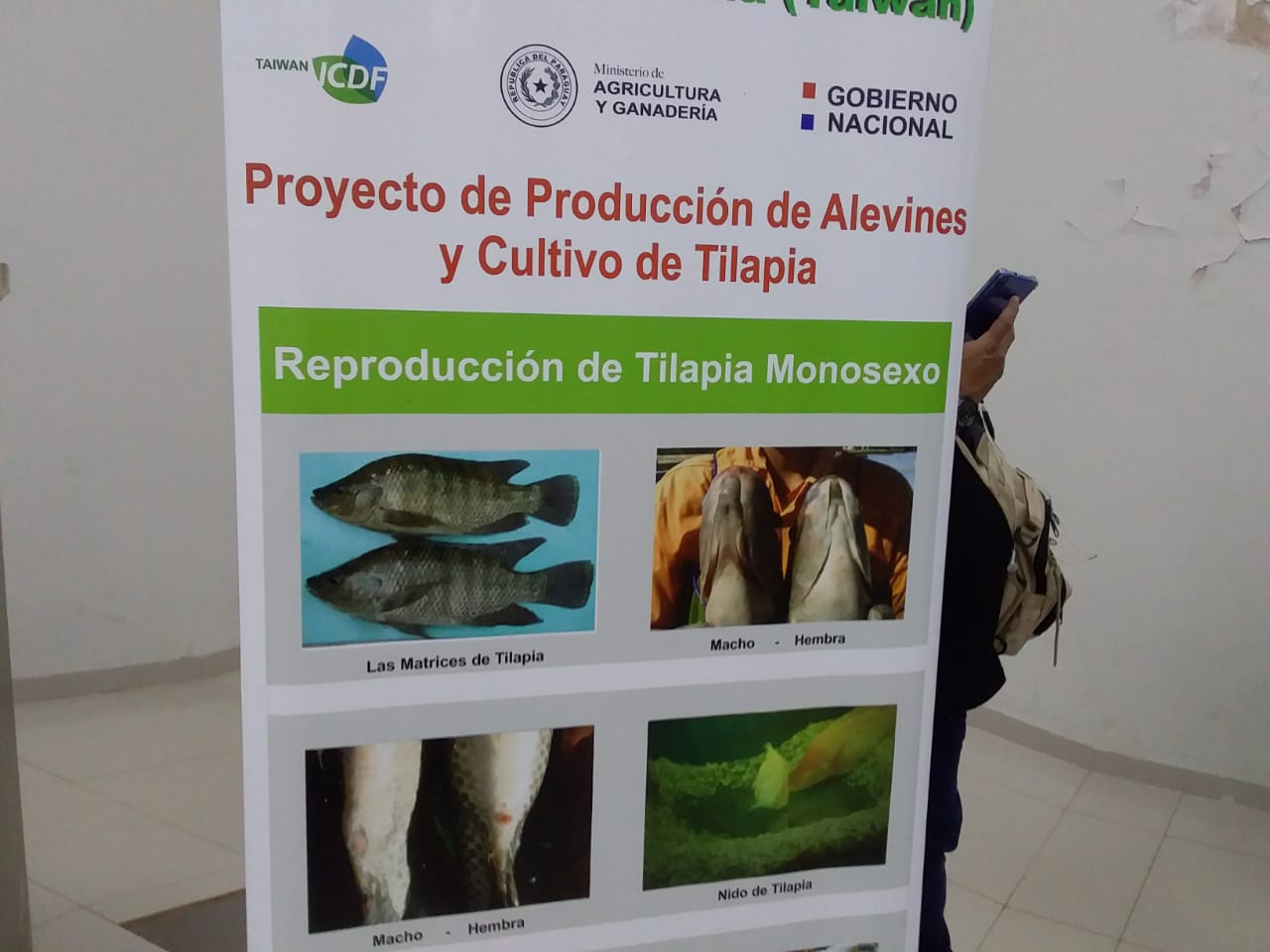 Gobernación lanza proyecto de producción de alevines y cultivo de tilapia